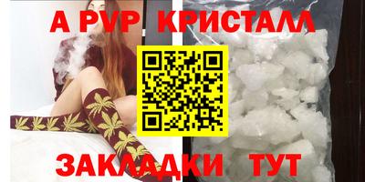 apvp Кимры