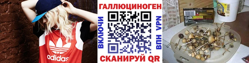 закладки Лабинск Псилоцибиновые грибы GOLDEN TEACHER