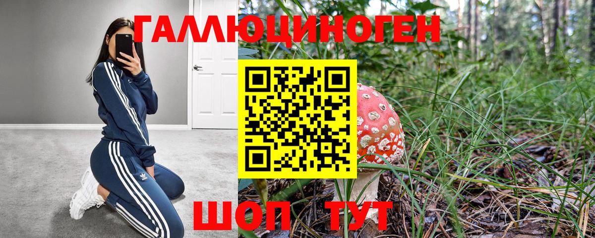 Галлюциногенные грибы прущие грибы Лабинск