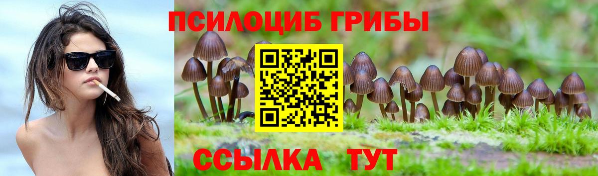 Лабинск  Галлюциногенные грибы ЛСД  Вход с VPN  Псилоцибиновые грибы Magic Shrooms 