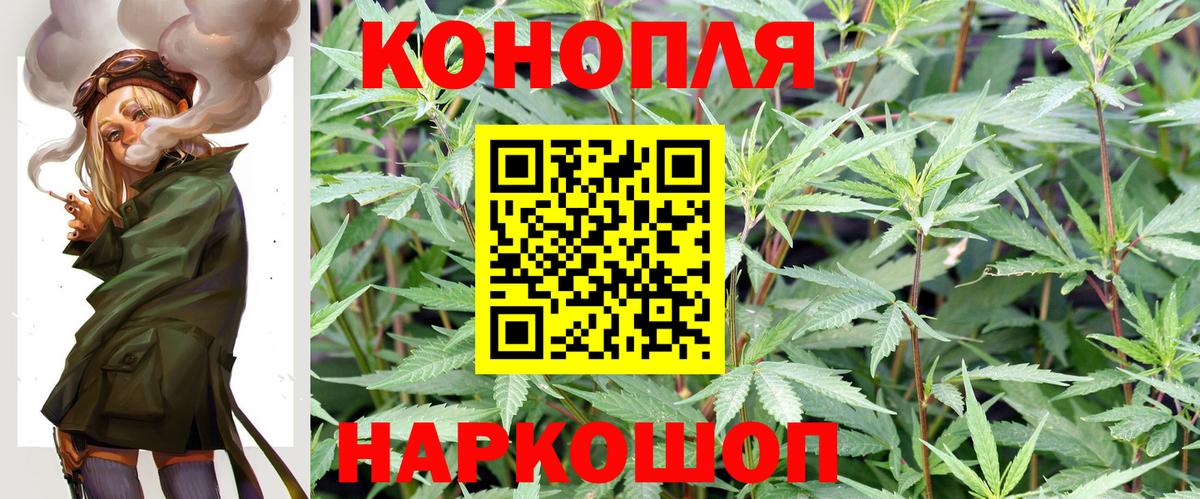 Лабинск  Конопля сатива  Бошки Шишки White Widow  Вход с VPN 